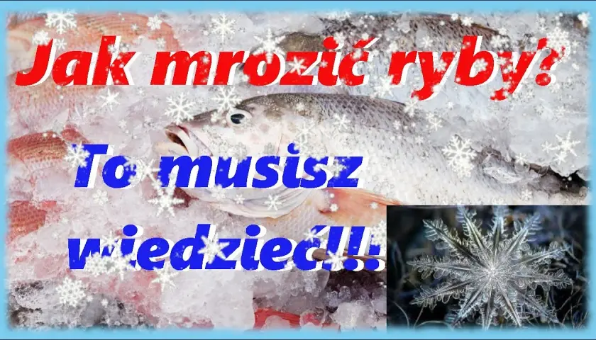 Jak długo mrozić ryby? Ekspert radzi, by smakowały jak świeże