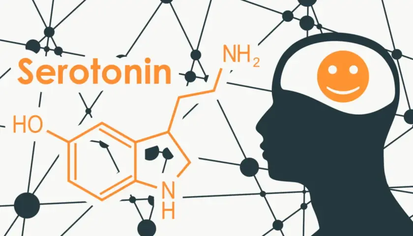 La serotonina, l'ormone della felicità, rappresentata con la sua formula chimica e un cervello sorridente.