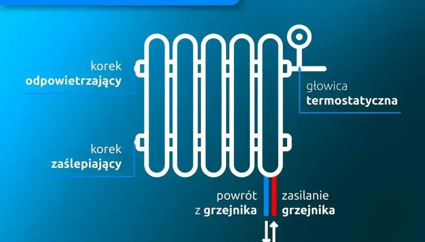 Schemat podłączenia grzejnika od dołu z prawej strony. Widoczny korek odpowietrzający, zaślepiający, głowica termostatyczna, zasilanie i powrót.