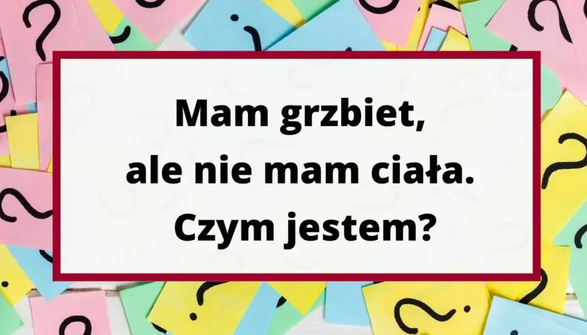 Zagadki logiczne: Czy Twój mózg jest gotowy na wyzwanie?
