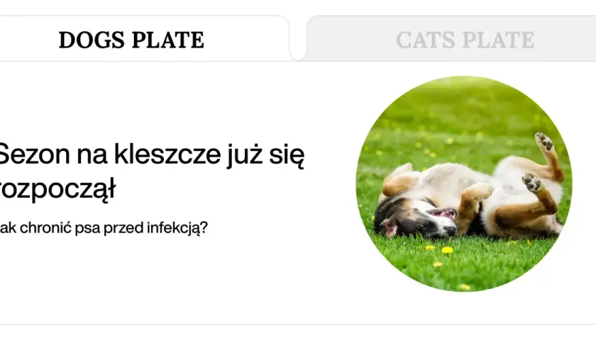 Szczeniak przewraca się na zielonej trawie.