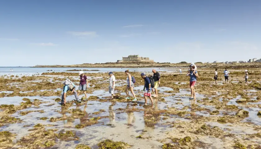 Menschen erkunden bei Ebbe die felsige Küste von Saint-Malo. Im Hintergrund thront die Festung auf ihrer Insel.