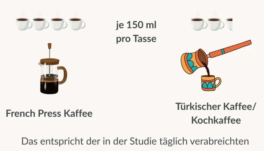 12 mg Cafestol stecken in French Press Kaffee und türkischem Kaffee. Dies entspricht der täglichen Dosis in einer Studie.
