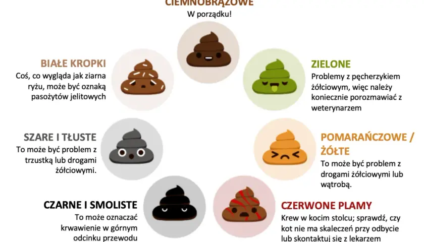 Jak rozpoznać różne rodzaje kupy u psa: Co oznacza jasna i ciemna kupa