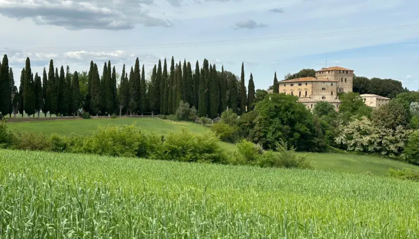 Campi verdi e un casale toscano sullo sfondo, un paesaggio tipico della chianti route sr222.