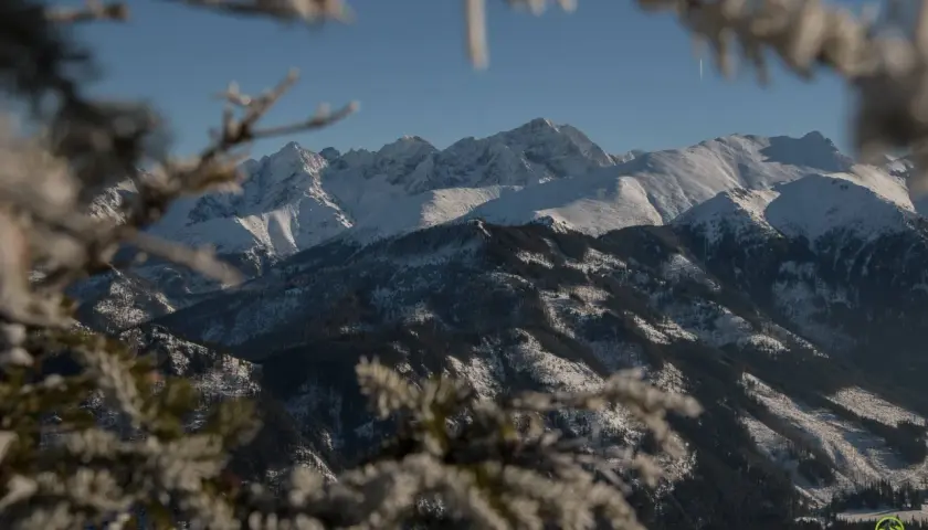Zimowy widok na Tatry z zamglonymi gałązkami. Trasa na Rusinową Polanę w śnieżnej scenerii.