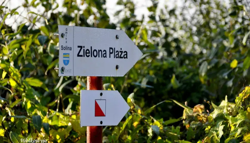Droga do zielona plaza Wolkowyja. Strzałka kierunkowa wskazuje szlak.