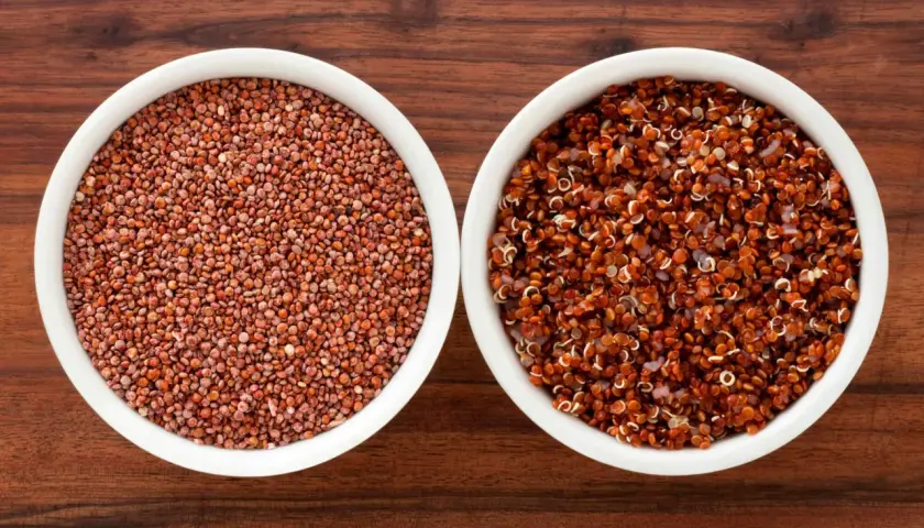 Två skålar med quinoa, en med råa röda frön och en med kokt, som visar dess höga quinoa protein.