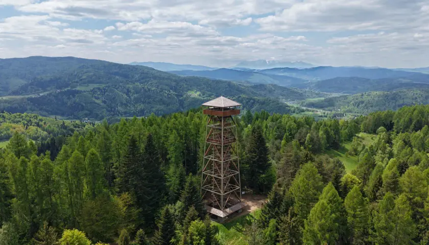 Wieża widokowa w otoczeniu lasów, z której rozciąga się panorama na górzyste tereny w okolicy Muszyny Zdroju.
