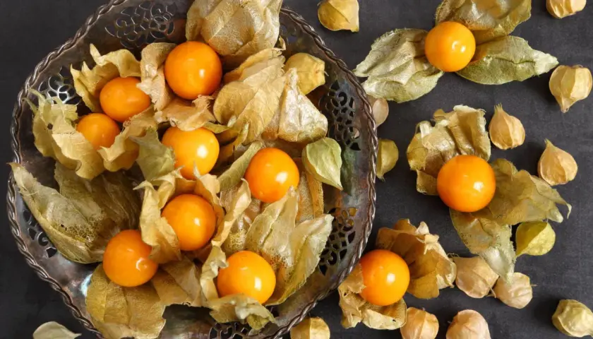 Frische Physalis-Früchte, umhüllt von ihren papierartigen Hüllen, liegen in einer verzierten Schale und verstreut auf dunklem Untergrund.