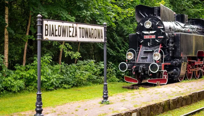 Parowóz na tle znaku "Białowieża Towarowa" i zieleni.