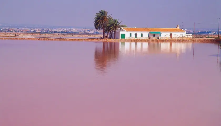 Casa blanca junto a palmeras sobre el agua rosa de la playa rosa Murcia.