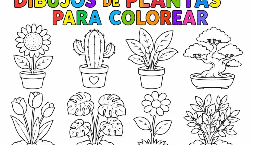 Dibujos de plantas para colorear: girasol, cactus, tulipanes, monstera, bonsái y más. ¡A pintar!