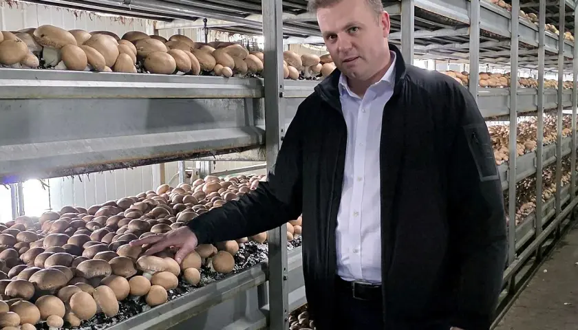 Mężczyzna w czarnej kurtce stoi obok regałów pełnych pieczarek w hali produkcyjnej.