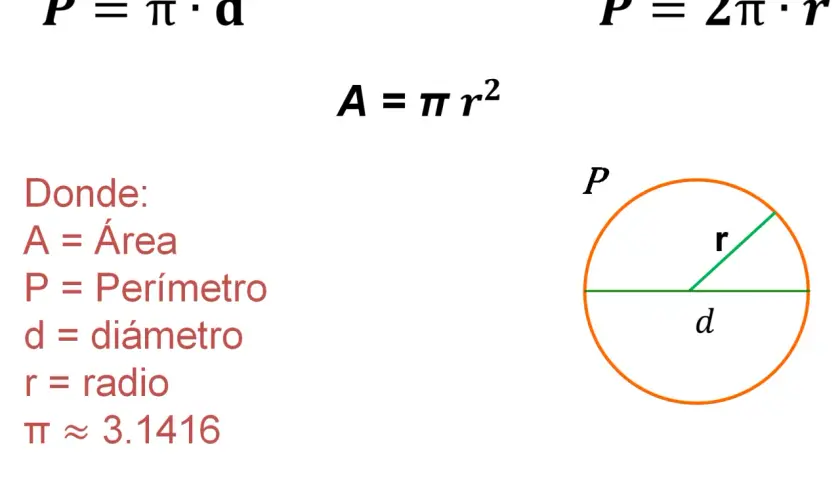 Fórmulas para calcular el perímetro de un círculo (P) y su área (A). Se muestra un círculo con radio (r) y diámetro (d).