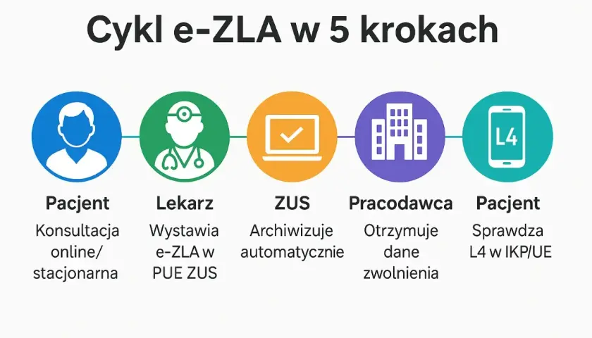 Cykl e-ZLA w 5 krokach: Pacjent (konsultacja), Lekarz (wystawia e-ZLA), ZUS (archiwizuje), Pracodawca (otrzymuje dane), Pacjent (sprawdza L4 online).
