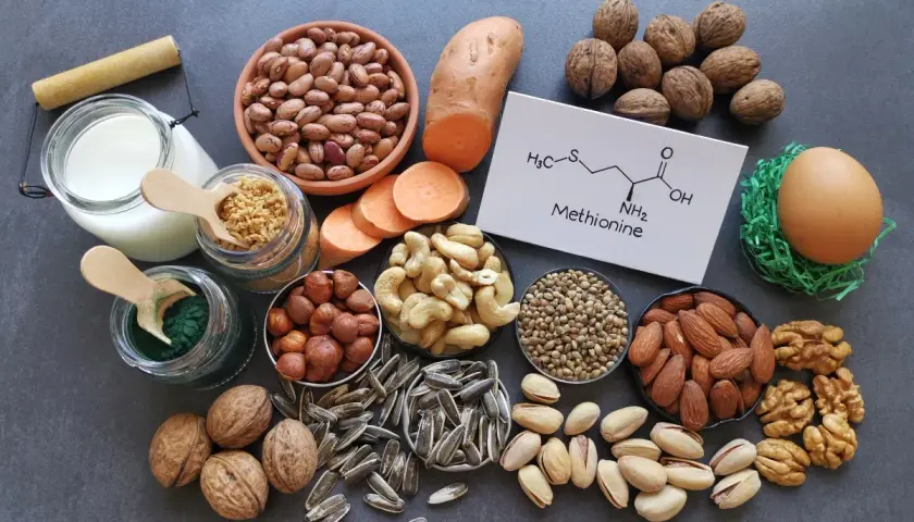 Fonti di metionina: fagioli, patate dolci, noci, mandorle, pistacchi, semi di girasole, anacardi, nocciole, latte, uovo, spirulina e la sua formula chimica.