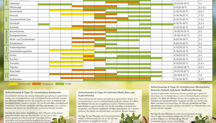 Wann kann man blumen pflanzen? Der Kalender zeigt, wann verschiedene Gemüsesorten gesät und geerntet werden können, von Salat bis Kohl.