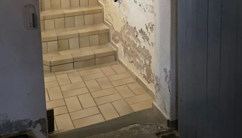 Treppe in einem Keller, der nach Ammoniak riecht. Abblätternde Farbe an der Wand, geflieste Stufen und ein dunkler Holztür.
