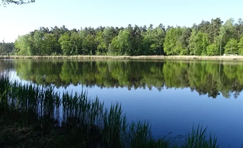 Łowisko Baroniok – idealne miejsce na wędkarską przygodę w Polsce