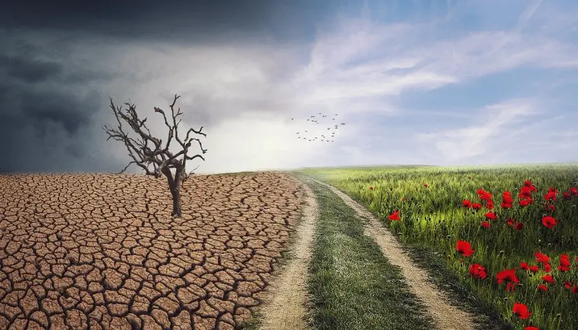 Kontrast między pustynią a kwitnącą łąką, ukazujący skutki ocieplenia klimatu.