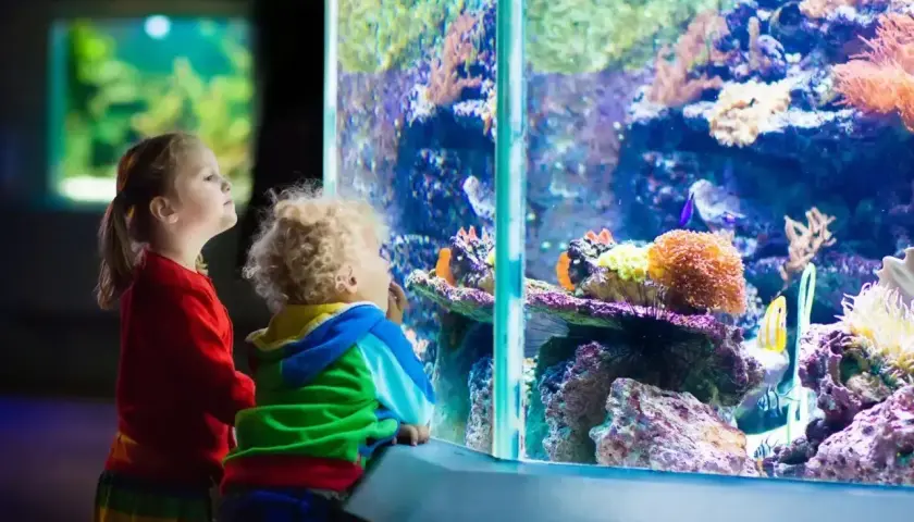 Dzieci zachwycone kolorowym światem podwodnym w oceanarium w Katowicach.