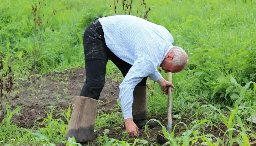 Un contadino lavora la terra con una zappa, praticando l'agricoltura sintropica per un raccolto rigoglioso.