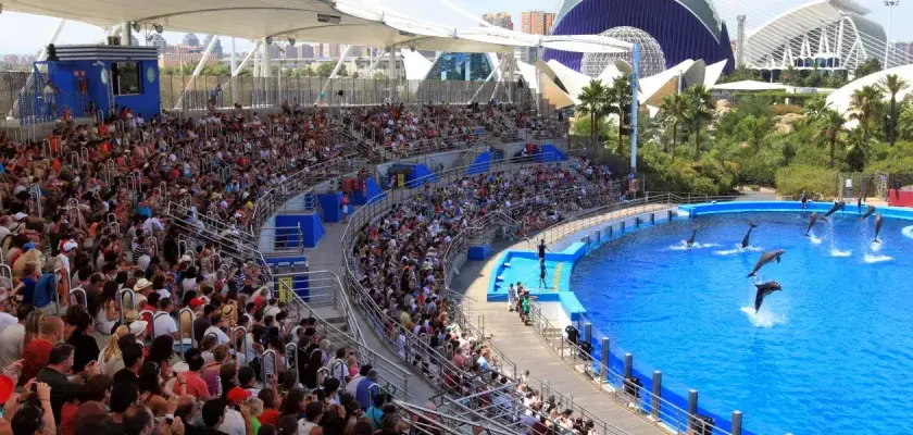 Las mejores atracciones en Valencia que no te puedes perder