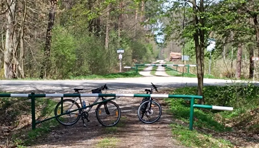 Dwa rowery czekają na odkrycie malowniczych tras rowerowych Tarnów. Leśna droga zaprasza do przygody.