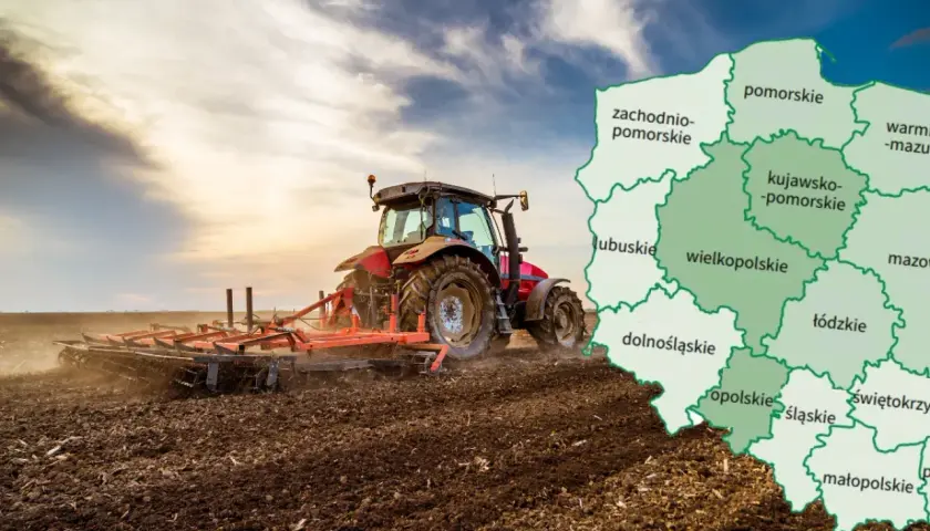 Jak oszacować wartość działki: uniknij błędów przy wycenie gruntu