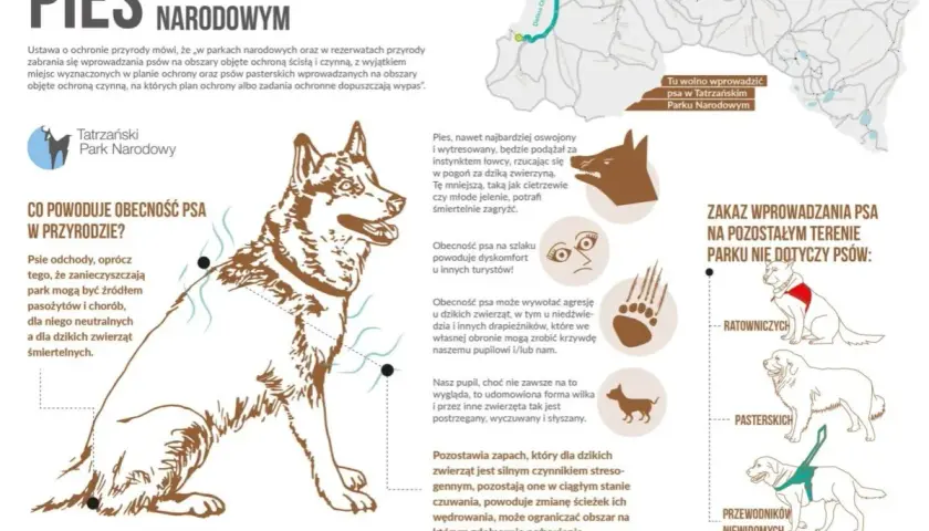Pies w Tatrzańskim Parku Narodowym - zasady wprowadzania psów, zagrożenia dla dzikiej fauny i turystów. Wyjątki: psy ratownicze, pasterskie i przewodnicy niewidomych.