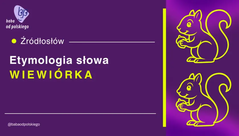 Dwie wiewiórki trzymają orzeszki. Tekst: "Etymologia słowa WIEWIÓRKA". Czy to mi czy mnie?