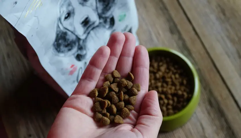 Dłoń trzymająca karmę dla szczeniąt, obok miska i opakowanie karmy z psem.
