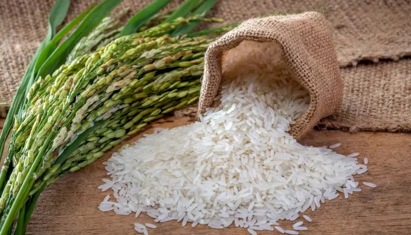 Czy ryż ma gluten? Uniknij pułapek zanieczyszczenia krzyżowego!