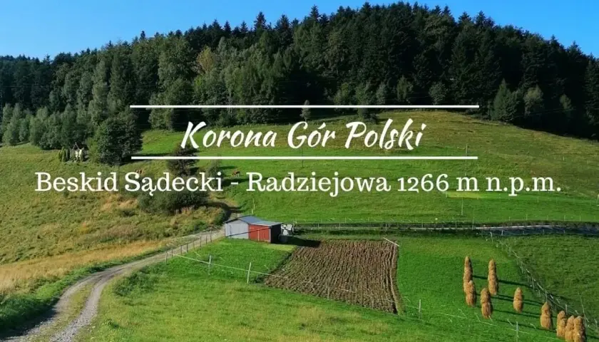 Malowniczy szczyt w Beskidzie Sądeckim, Radziejowa, 1266 m n.p.m. Zielone wzgórza, las i droga prowadząca do Korony Gór Polski.