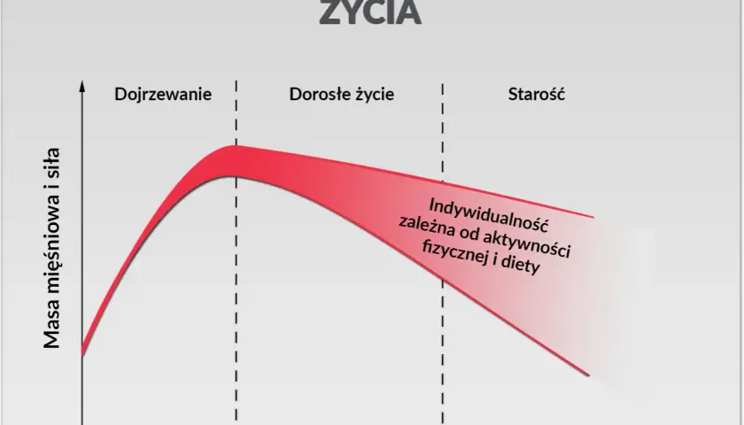 Ile białka dziennie przy treningu? Twój plan na masę i redukcję