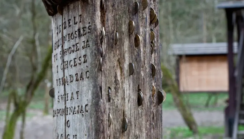 Drewniany słup z wyrytymi słowami i wbitą monetą, symbolizujący miejsce mocy w Puszczy Białowieskiej.