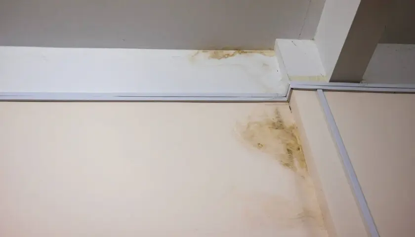 Taches de moisissure et d'humidité au plafond et sur le mur, preuves pour se défendre contre une accusation de vice caché maison.