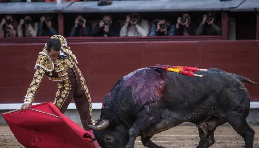 Adolfo Martín hijo, torero, se enfrenta a un toro en la arena. El público observa desde las gradas.