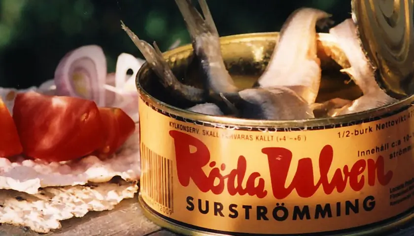 Dose mit Surströmming, dem schwedischen fermentierten Fisch, daneben Tomaten und Zwiebeln auf Knäckebrot.