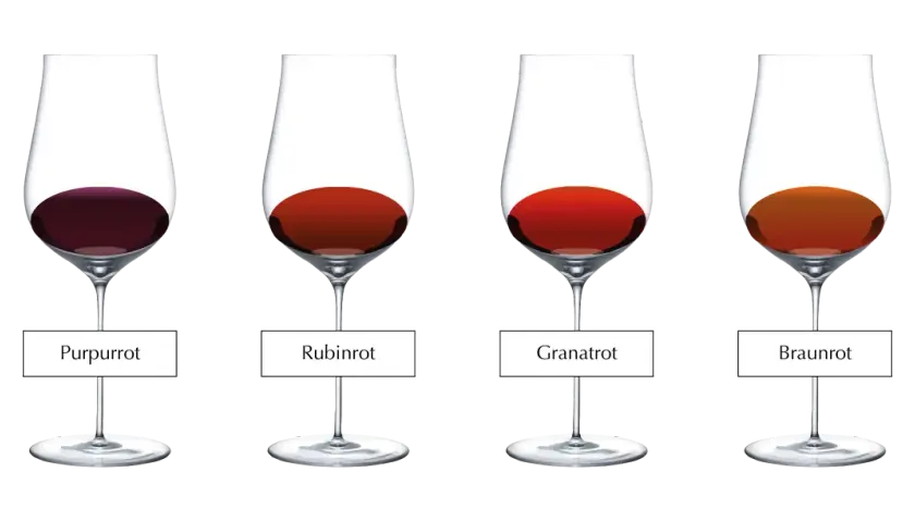 Vier Gläser zeigen die **Wein**-**Farbe** von Purpurrot bis Braunrot.
