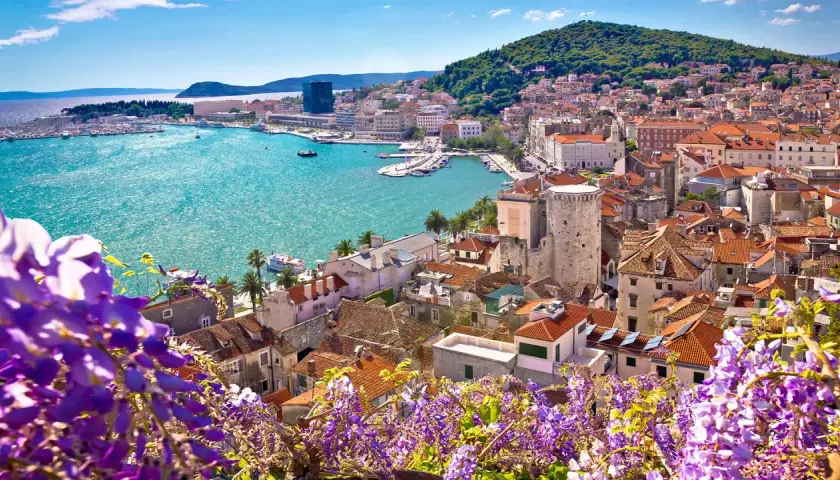 Widok na Split z kwitnącym fioletowym kwieciem w pierwszym planie, turkusowe morze i zabytkowe budynki.