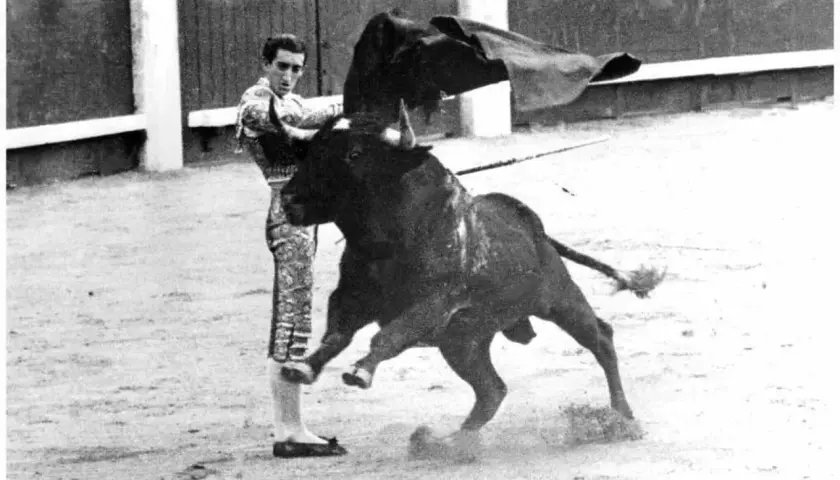 Manolete, en un momento dramático, se enfrenta a la embestida del toro. La capa negra ondea, capturando la tensión de la cornada inminente.