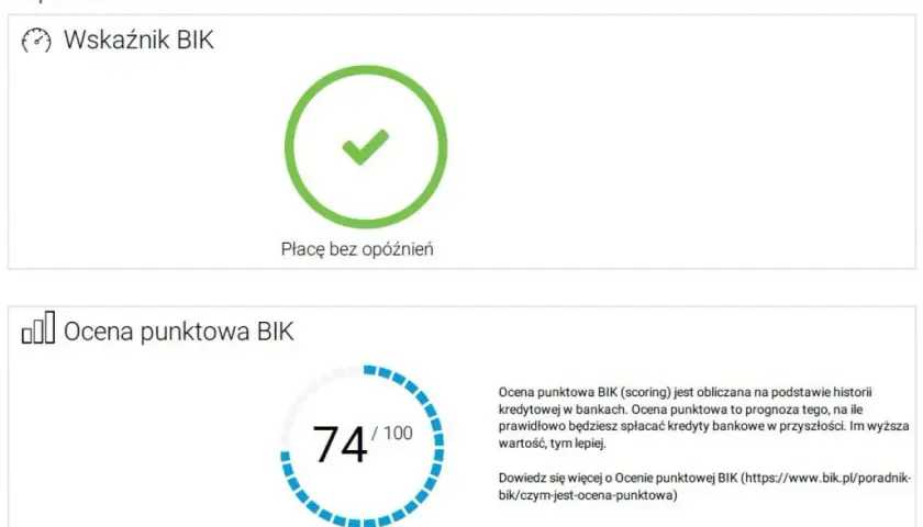 Jak sprawdzić BIK i uniknąć błędów w swojej historii kredytowej