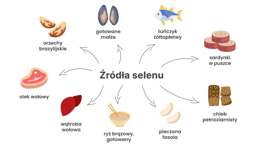 Odkryj, jak ważne są selen właściwości! Na grafice źródła selenu: orzechy brazylijskie, małże, tuńczyk, sardynki, stek, wątroba, ryż, fasola i chleb pełnoziarnisty.