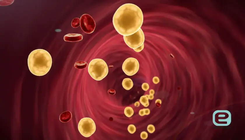 Żółte kuleczki cholesterolu LDL unoszą się w krwiobiegu, otoczone czerwonymi krwinkami. Podwyższony poziom tego tłuszczu może być groźny.