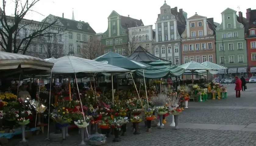 Kwiatowe stoiska na placu solnym we Wrocławiu, kolorowe kamienice w tle.