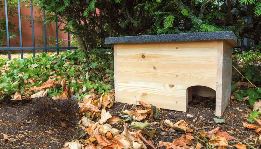 Ein neues Igelnest aus Holz steht im Garten, umgeben von Laub und Grün.