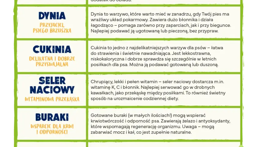 Bezpieczne warzywa dla szczeniaka: co podawać, a czego unikać?