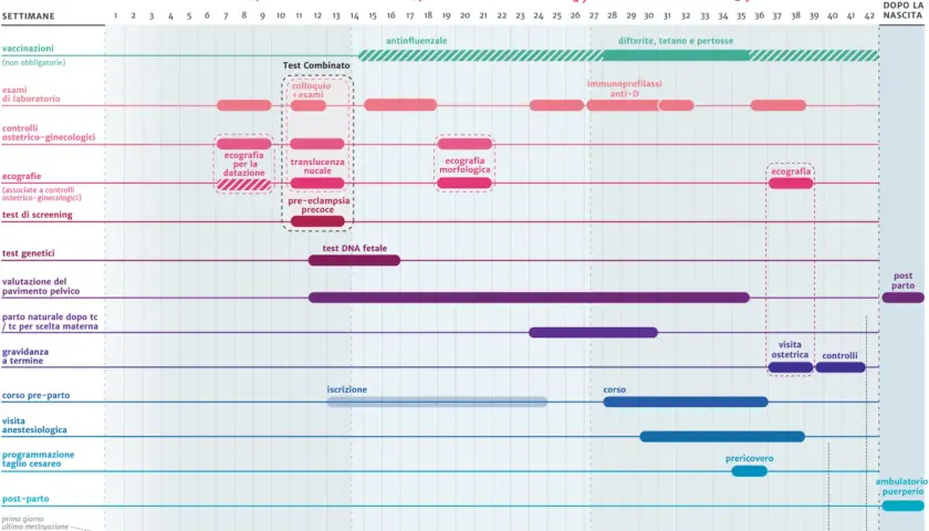 Calendario gravidanza: esami di laboratorio, ecografie, test genetici e analisi del sangue per la gravidanza, vaccinazioni e controlli ostetrici.
